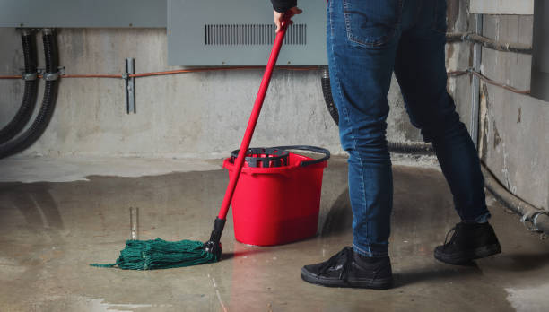 Best Water damage contractors near me  in Creswell, OR