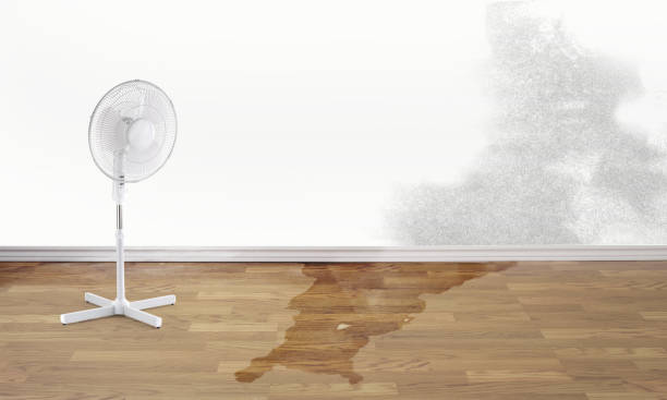 Best Water damage restoration near me  in Creswell, OR