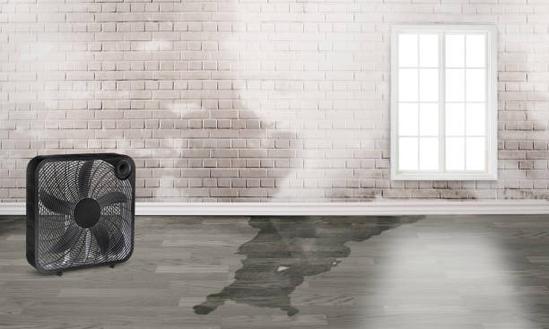 Best Water damage restoration near me  in Creswell, OR