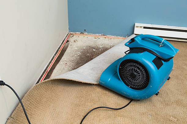 Best Water damage cleanup near me  in Creswell, OR